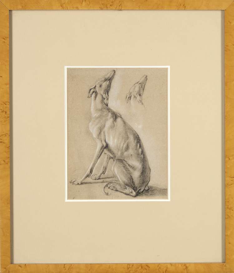 CHARCOAL STUDY OF A GREYHOUND