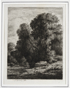 FOREST LANDSCAPE, 1851