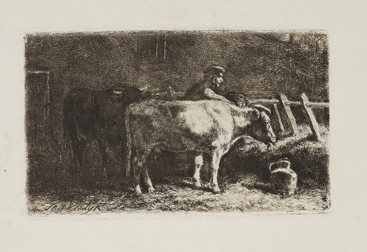 COW IN THE STABLE, ETCHING, JAN VROLIJK