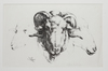 RAM STUDY BY LÉON LAST, CIRCA 1850