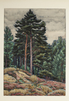 A. SCHEFFER, FOREST LANDSCAPE WATERCOLOR PAINTING