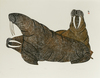 WORLD WILDLIFE FUND COLLECTION, THE ART OF THE ESKIMOS, 1977