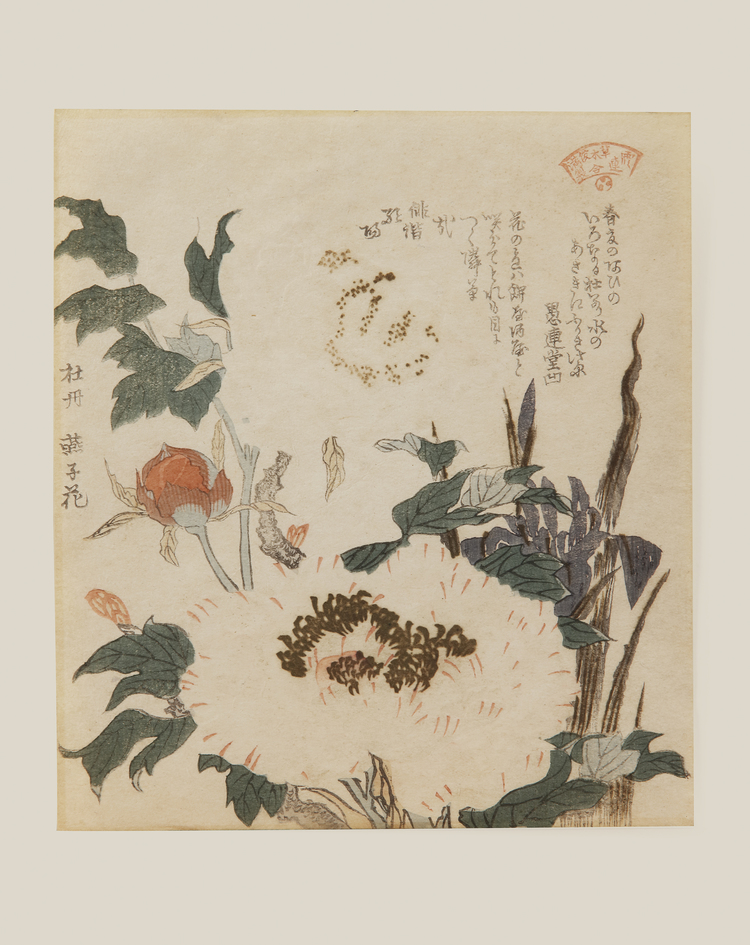 KUBO SHUNMAN, IRIS AND PEONY CIRCA 1810