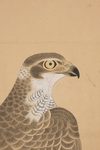 A LARGE JAPANESE SIX-PANEL SCREEN WITH HAWKS, LATE EDO PERIOD (FIRST HALF 19TH CENTURY)