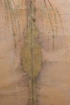 A TALL JAPANESE SIX PANEL BYÔBU WITH WEEPING APRICOT TREE 枝垂れ梅, BAKUMATSU PERIOD (1853-1867)
