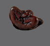 JAPANESE NETSUKE,19TH CENTURY