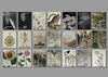 WORLDS OF WONDER MAPS, SCIENCE & NATURAL HISTORY IN PRINT