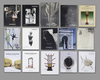 ELEGANCE IN FORM: PHOTOGRAPHY, DESIGN & DECORATIVE ARTS