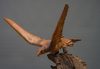 WOODEN OKIMONO 置物 OF A HAWK
