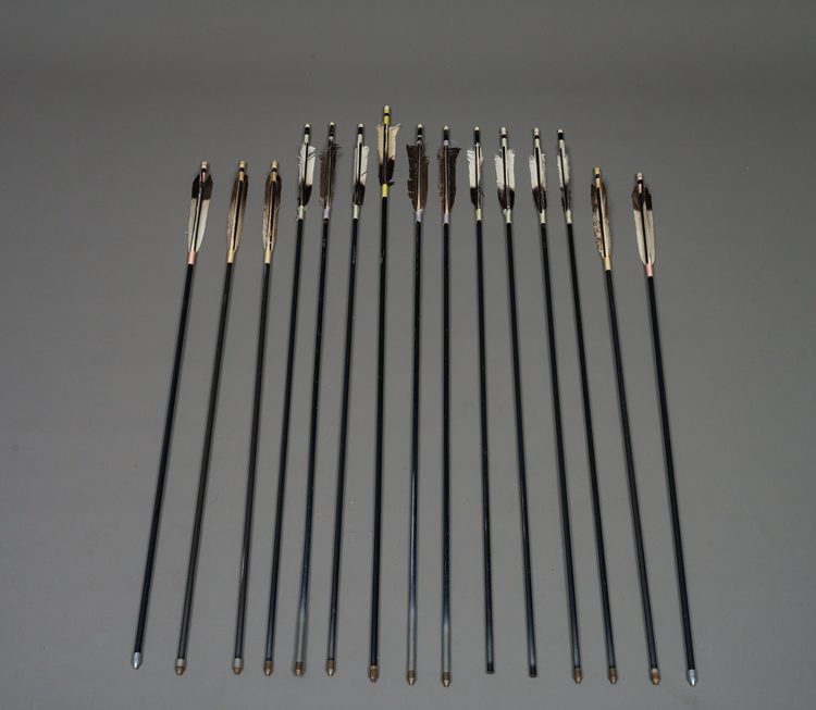 15 MODERN ARROWS IN A STAND