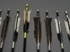 15 MODERN ARROWS IN A STAND