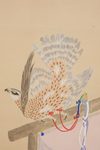 LARGE SIX-PANEL SCREEN WITH HAWKS