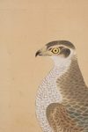 LARGE SIX PANEL SCREEN WITH HAWKS