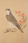 LARGE SIX PANEL SCREEN WITH HAWKS