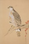LARGE SIX PANEL SCREEN WITH HAWKS