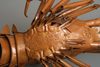 LOBSTER BY MYÔCHIN MUNEYUKI