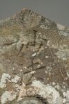 GRANITE JIZÔ BOSATSU