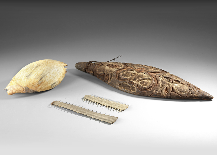 Ancient Asmat bowl, Asmat Sleeping shell and two small saw fish rostrums.