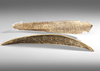 Sumatra. Two bone Batak magical calendars in bone