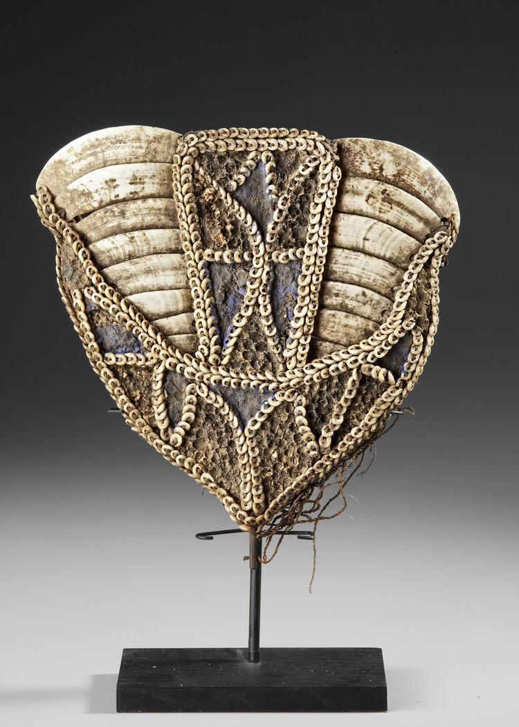 Aitape pectoral adornment with boar’s tusks, nassa shell and Job’s tears.