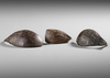 Three old coconut spoons. Collected by Jac Hoogerbrugge in the 1960’s