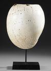 Old and well used Highlands Bailer shell pectoral ornamen