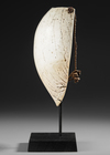 Old and well used Highlands Bailer shell pectoral ornamen