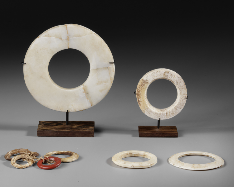 Small collection of fossil Tridacna shell valuables. Two rings on custom made stands from the Solomon Islands