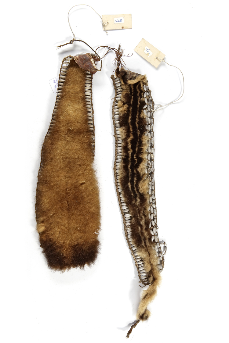 Two fur headbands from the Casuarina coast. Probably Cuscus. Collected by Jac Hoogerbrugge in the 1950’s or 1960’s.