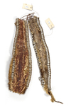 Two fur headbands from the Casuarina coast. Probably Cuscus. Collected by Jac Hoogerbrugge in the 1950’s or 1960’s.
