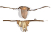 Two Dani breast ornaments/pectorals from the Baliem valley. Collected by Jac Hoogerbrugge in the 1960's or 1970's.