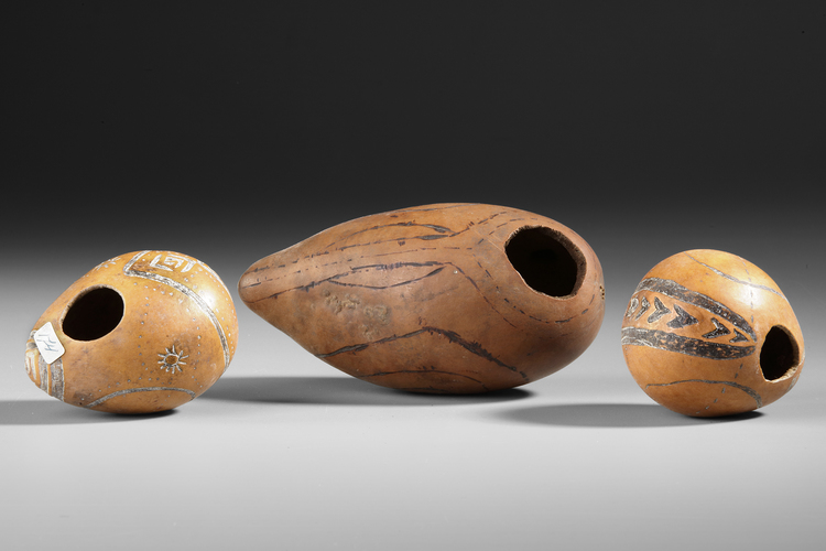 Three phallocrypt gourds (peniscovers) with burnt in decorations from Waris. Collected by Jac Hoogerbrugge before 1969. See the Hoogerbrugge collection notes.