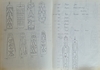 Asmat. Shield collected by Jac Hoogerbrugge in the 1960’s or 1970’s. See the drawing by Hoogerbrugge. Published in “Asmat by Jac Hoogerbrugge”
