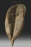 Maprik. Wooden Abelam head. From the collection of Jac Hoogerbrugge. See his drawing and collection note.