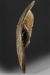 Maprik. Wooden Abelam head. From the collection of Jac Hoogerbrugge. See his drawing and collection note.