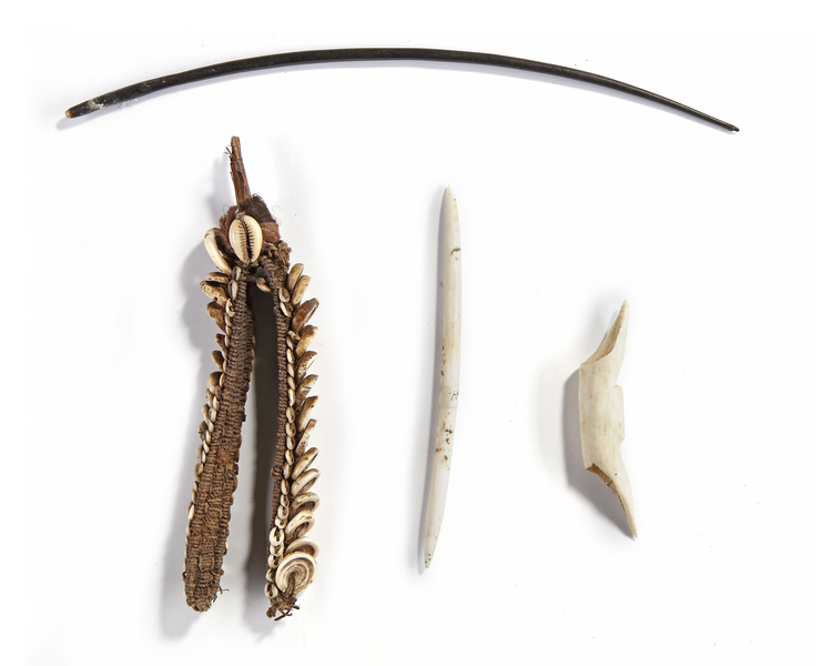Small collection of three nose ornaments and a headband.