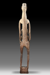 Asmat. Very large Asmat ancestor sculpture. Collected by Jac Hoogerbrugge in the 1960’s or 1970’s. Remnants of lime.