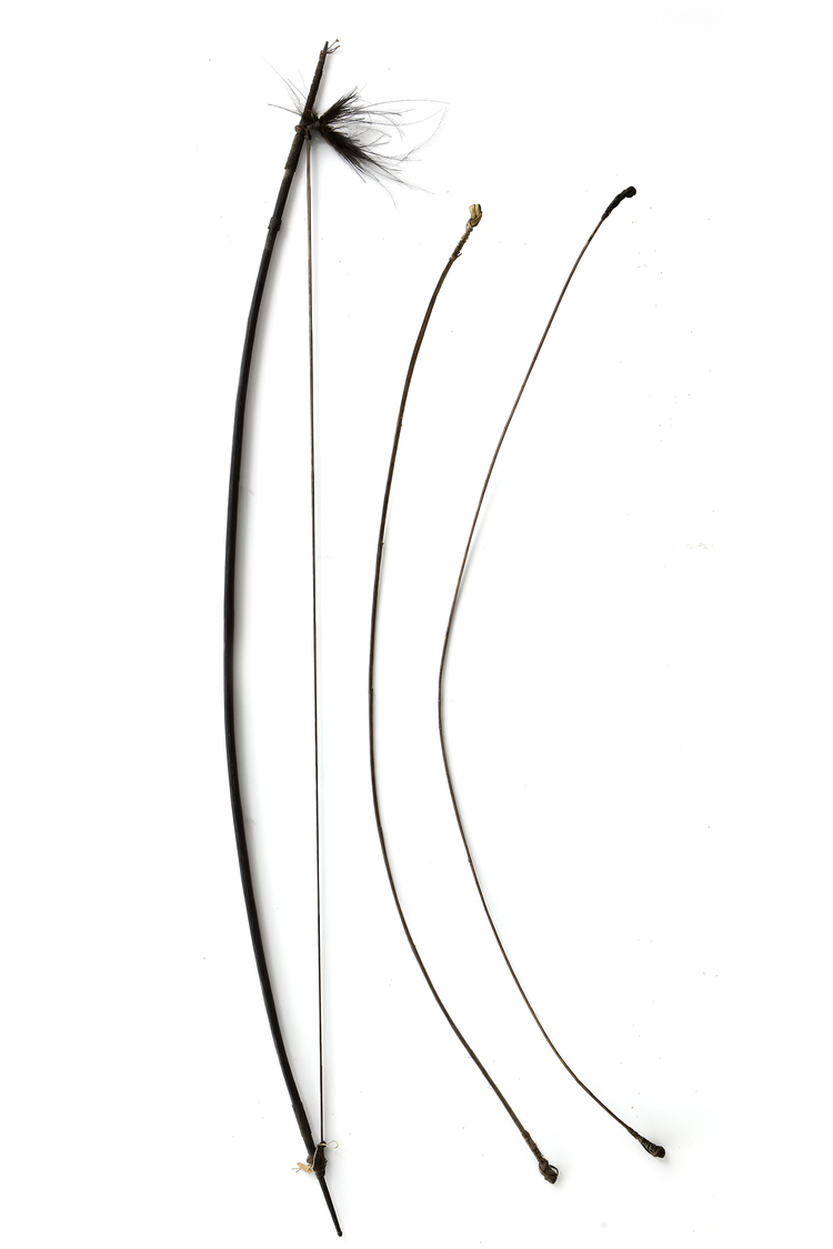 Sentani bow with two strings. Collected by Jac Hoogerbrugge in the 1950’s or 1960’s.