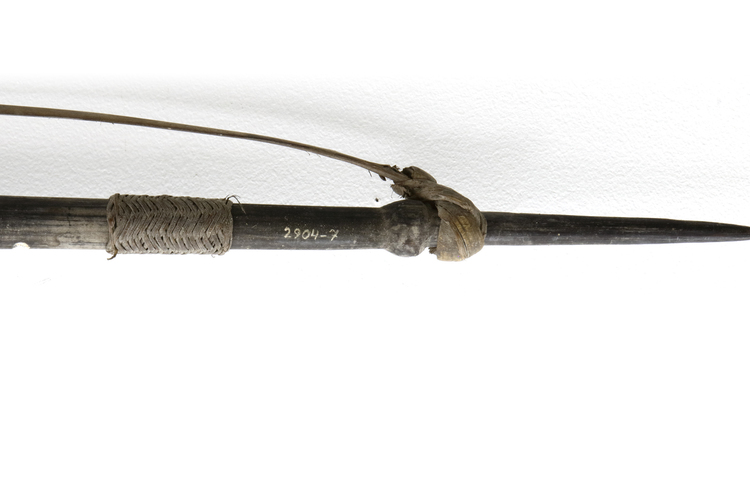 Sentani bow with two strings. Collected by Jac Hoogerbrugge in the 1950’s or 1960’s.