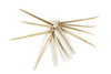 Bone sewing needles used for sail making. Collected by Harry Beran in january 1998 in Gawa. Beran Field notes HB 773.