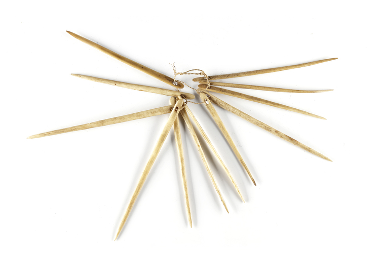 Bone sewing needles used for sail making. Collected by Harry Beran in january 1998 in Gawa. Beran Field notes HB 773.