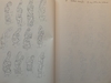 Four betel nut crushers. Collected by Jac Hoogerbrugge in the 1960’s and 1970’s. Many drawn by Hoogerbrugge. See the examples.