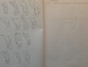 Four betel nut crushers. Collected by Jac Hoogerbrugge in the 1960’s and 1970’s. Many drawn by Hoogerbrugge. See the examples.