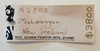 Large New Ireland Malagan carving. Provenance: New Guinea Primitive Arts Sydney. With label.