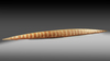 Asmat. Large feast dish in the shape of a canoe.