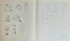 Maprik. Wooden Abelam head. From the collection of Jac Hoogerbrugge. See his drawing and collection note.