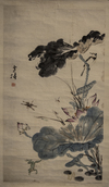 Lotus