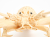 An exceptionally large carved bone model of a lobster with movable parts