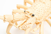 An exceptionally large carved bone model of a lobster with movable parts