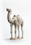 A Chinese painted pottery figure of a camel